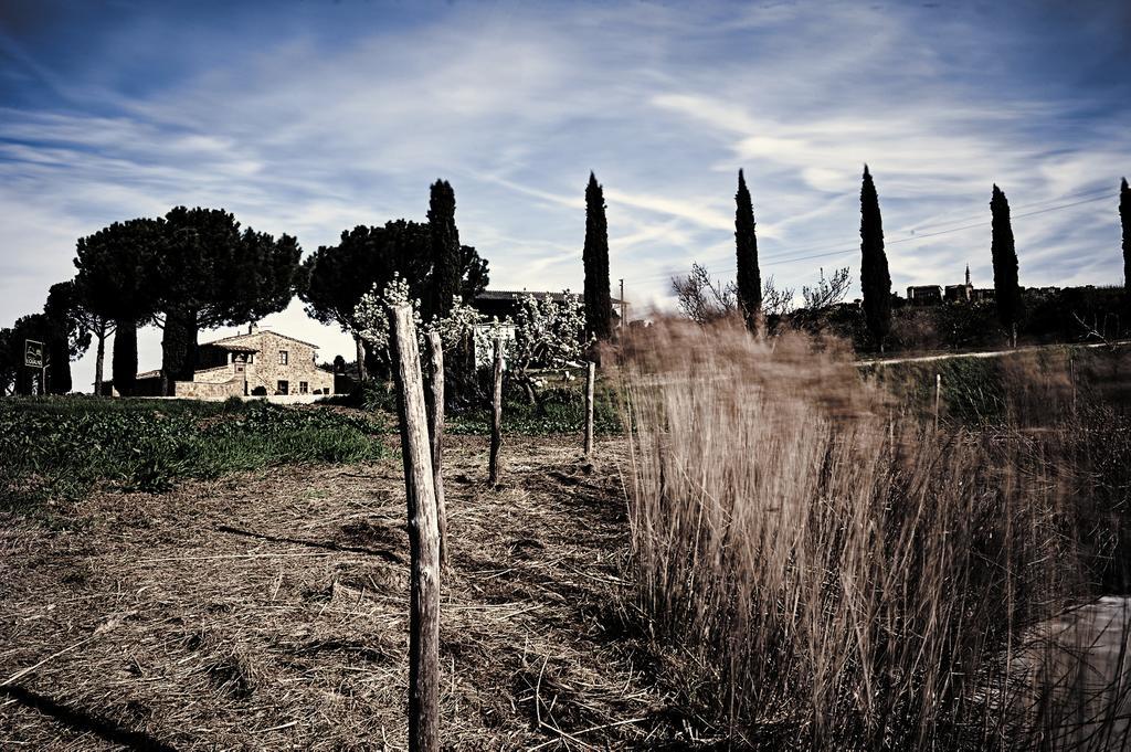 Agriturismo Il Casalino Villa Pienza Kültér fotó
